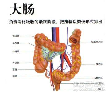 早期预防肠癌的常见症状,避免患上肠癌